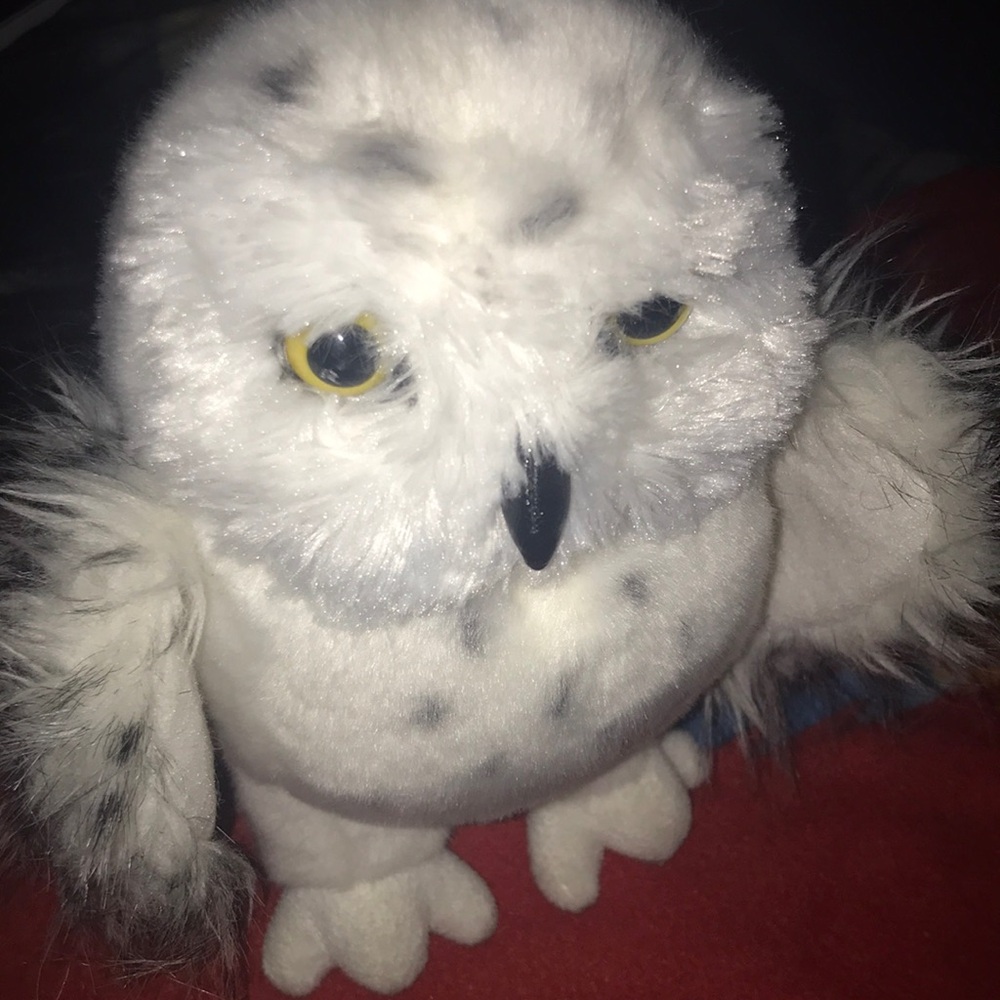 Stuffed owl , kids toy , always a good bundler lmk with this one ⏬